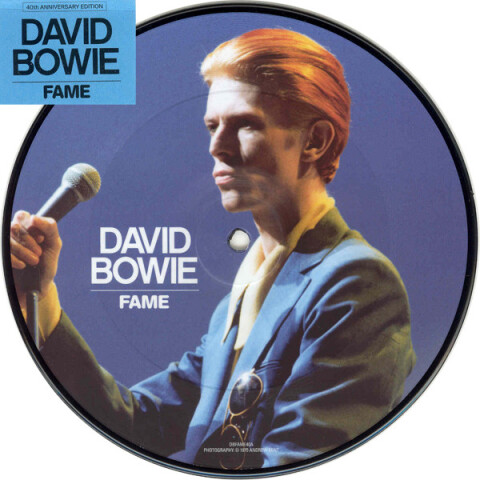 Fame DBFAME40