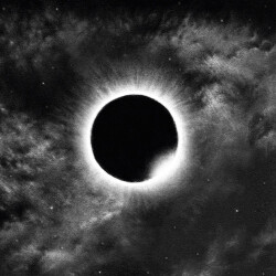 Stellar SOM 349 1