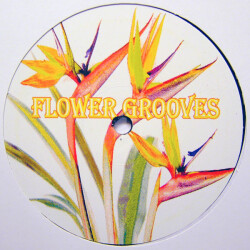 Delic FG005-5 1