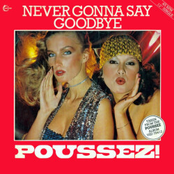Never Gonna Say Goodbye VSL 5014 1