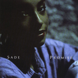Promise 19658784811 1