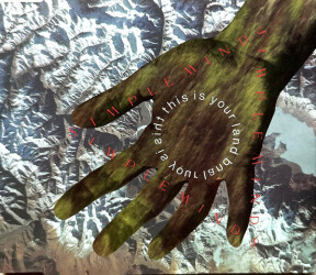 This Is Your Land 662 240-211 1