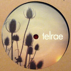 Elapse / Light Sway TELRAE 013 1
