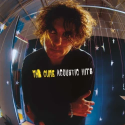 Acoustic Hits (25th Anniversary Edition) 602488319621 1