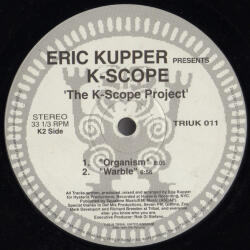 The K-Scope Project TRIUK 011 2