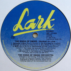 Hooked On Swing (Special 12" Swing Mix 10:50 Min.) IND-121454 3
